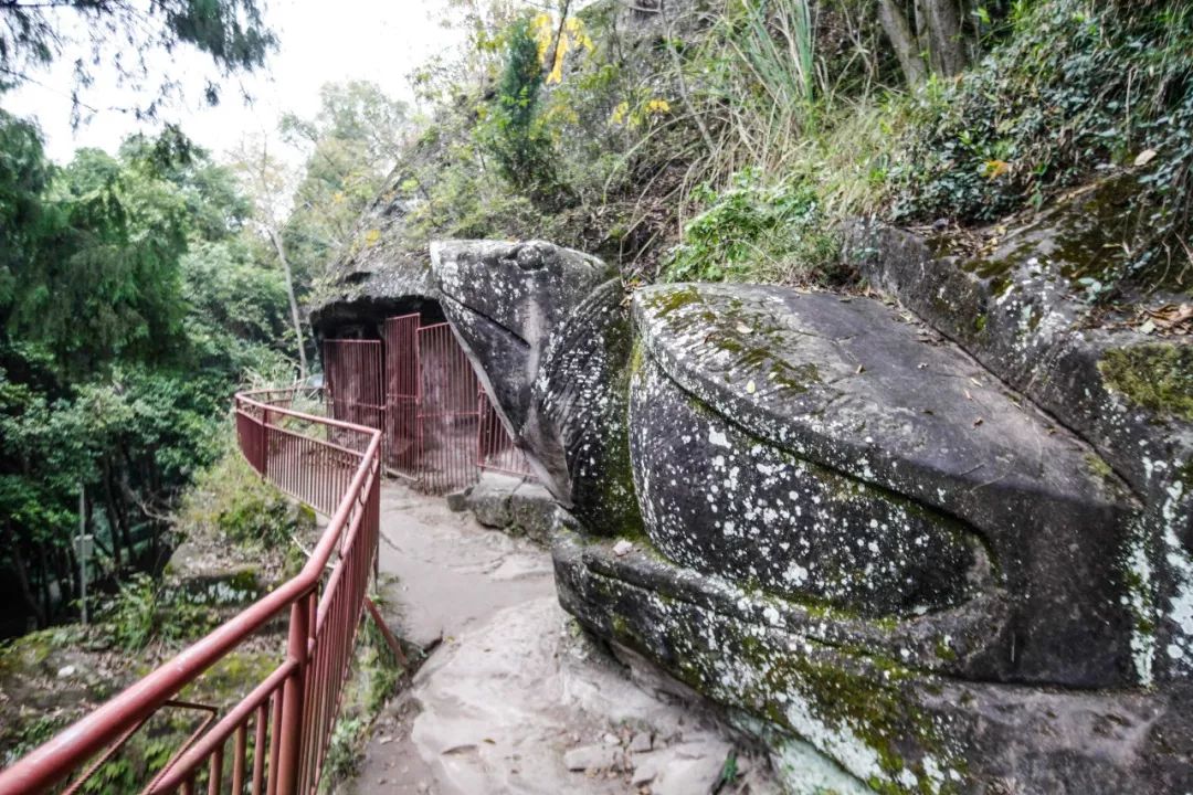 安岳圆觉洞的历史文化,安岳圆觉洞讲解