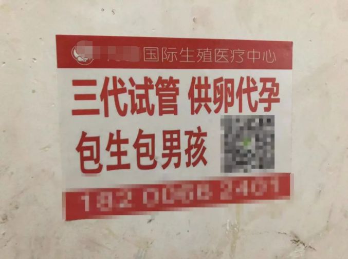 大学周边的代孕小广告背后，隐藏着一个“卵子*市黑**”