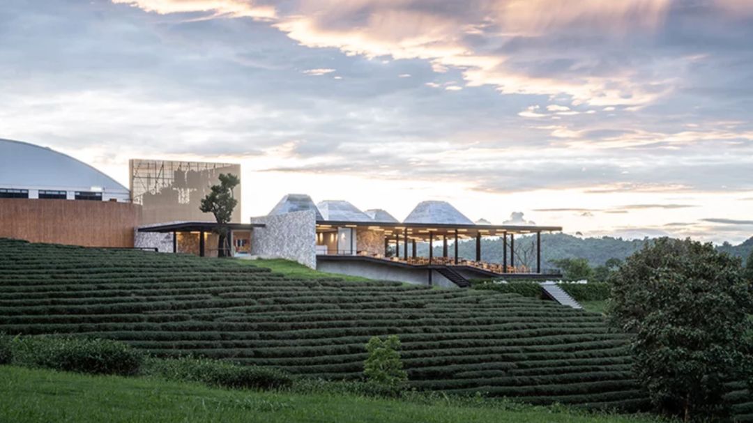 “白化病姐妹”逆袭时尚界；MAC“砸”故宫招牌？阿里“无隐私”大厦...「设计烩报296期」