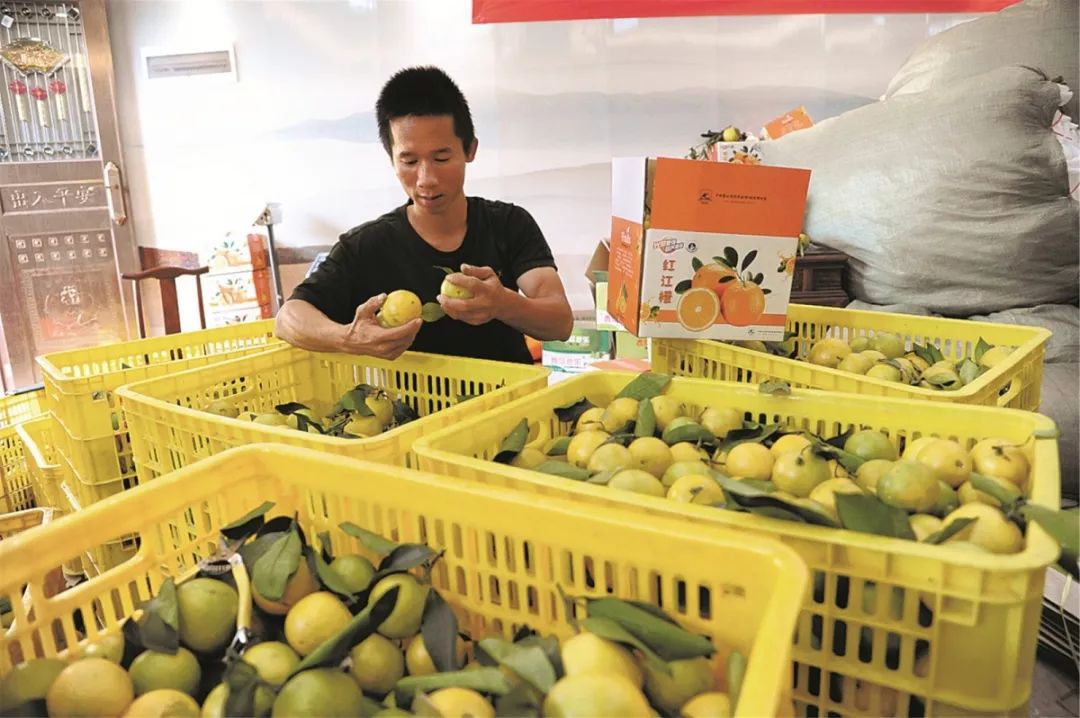 博白退役军人招聘,广西壮族玉林博白退役军人