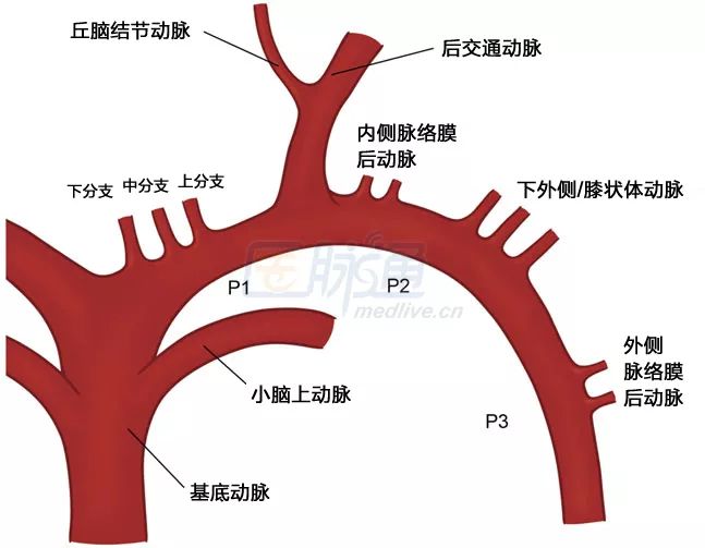 脑梗死的分类及ct影像学表现,丘脑梗死的临床表现