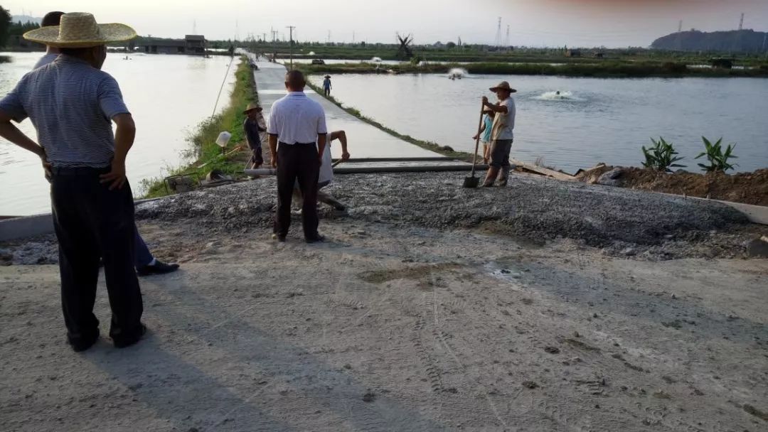 广东etc扣费明细怎么查,广东etc乱扣费怎么处理