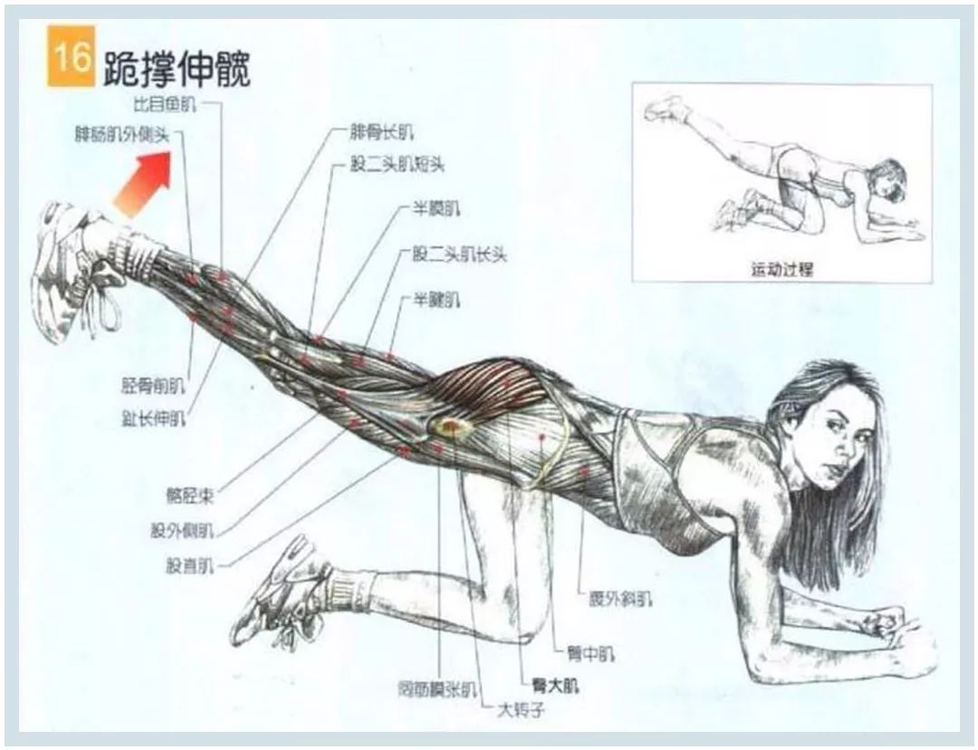 食物瘦身法大全,一周紧急瘦身法食谱