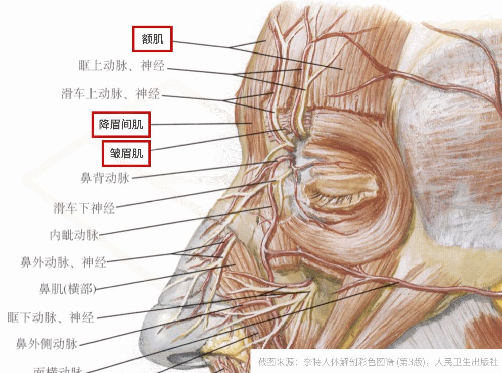 想要更耐老注意这个细节,想要更耐老注意这5个细节