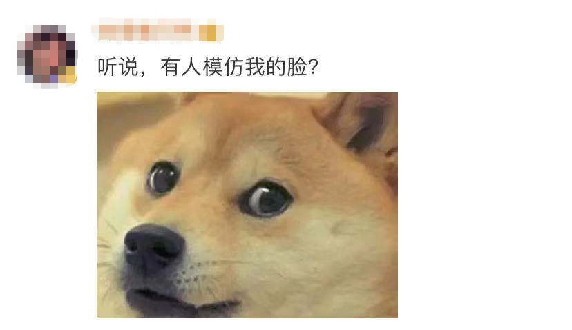 微信官宣小表情,微信表情包8.0的正确用法