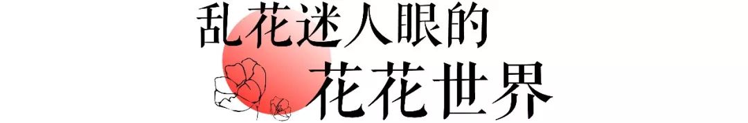 武汉最大鲜花批发市场,武汉哪个市场鲜花最便宜