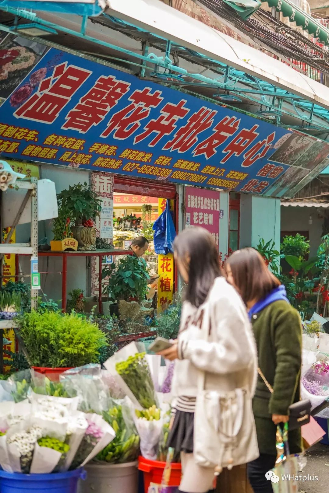 武汉最大鲜花批发市场,武汉哪个市场鲜花最便宜