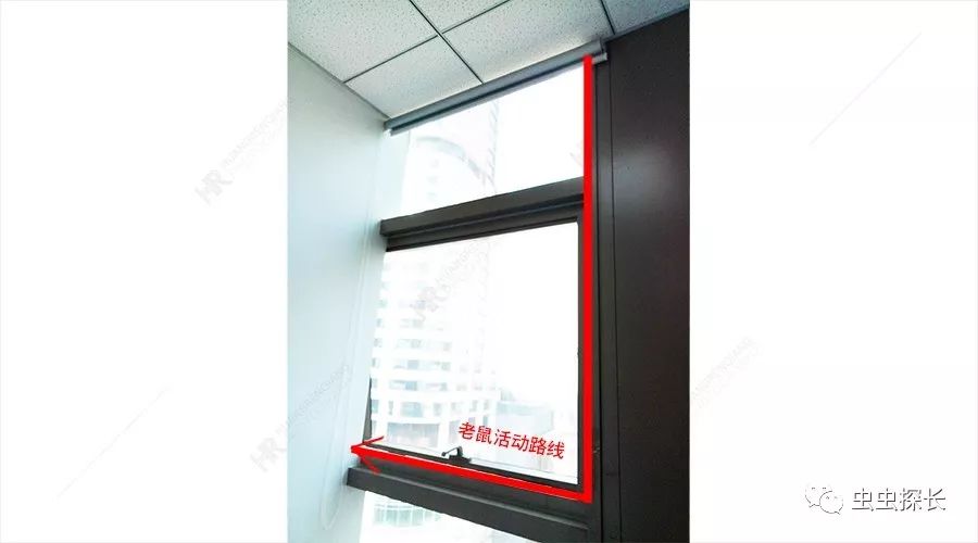 商铺有老鼠怎么灭鼠,餐厅老鼠频发灭鼠公司出动小妙招