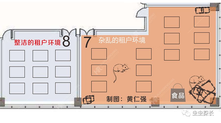 商铺有老鼠怎么灭鼠,餐厅老鼠频发灭鼠公司出动小妙招