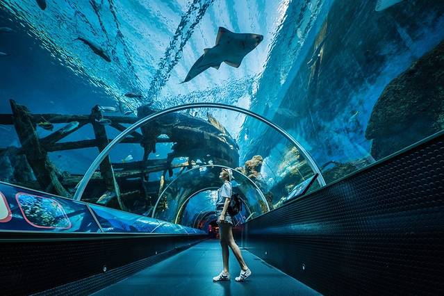 在新加坡圣淘沙玩几天,在新加坡怎么去圣淘沙