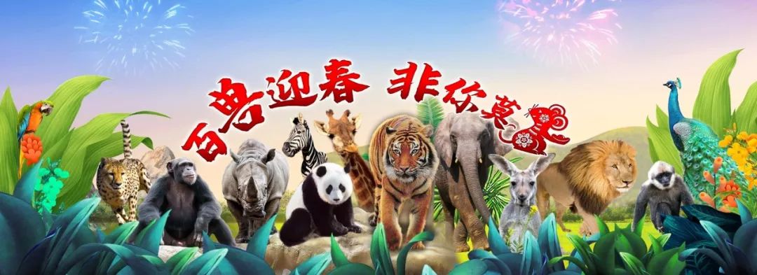 利民街沪上,上海景点年票怎么买