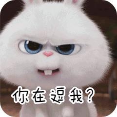 套路太多大家提高警惕,套路年年有今年特别多下一句