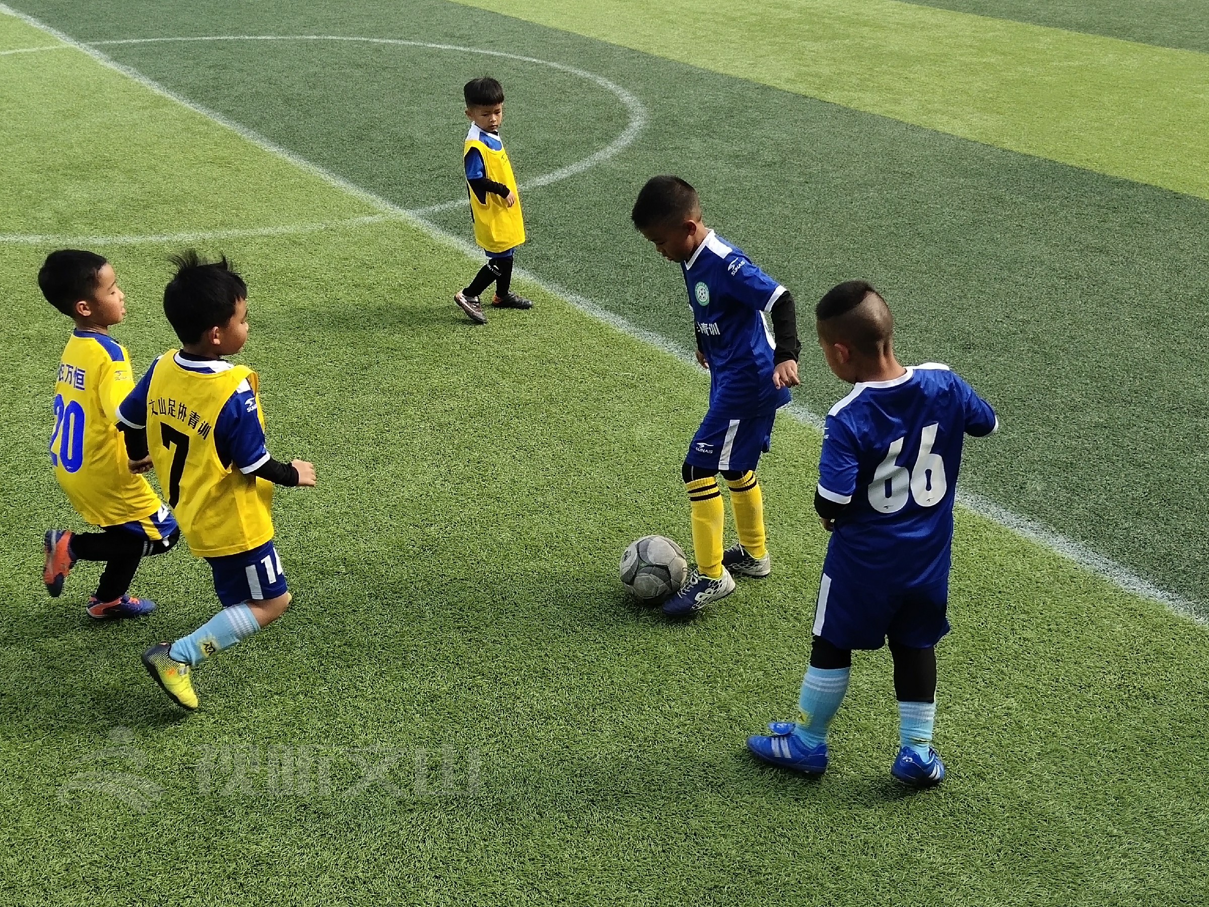 超棒萌娃们,超赞萌宝