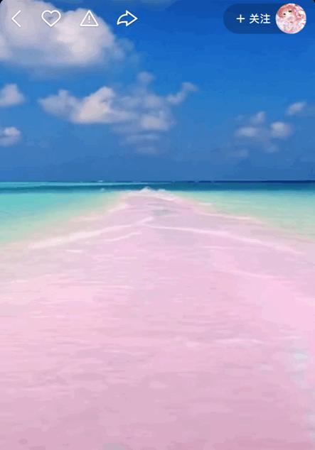 本来想去薅羊毛,却沉迷在这张“活的”地图上……