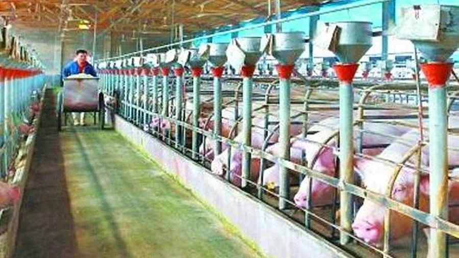 中国农业为什么机械化率低,中国农作物机械化程度