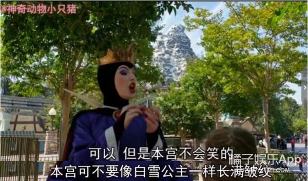 迪士尼恶毒皇后怼人,迪士尼恶毒皇后怼人视频