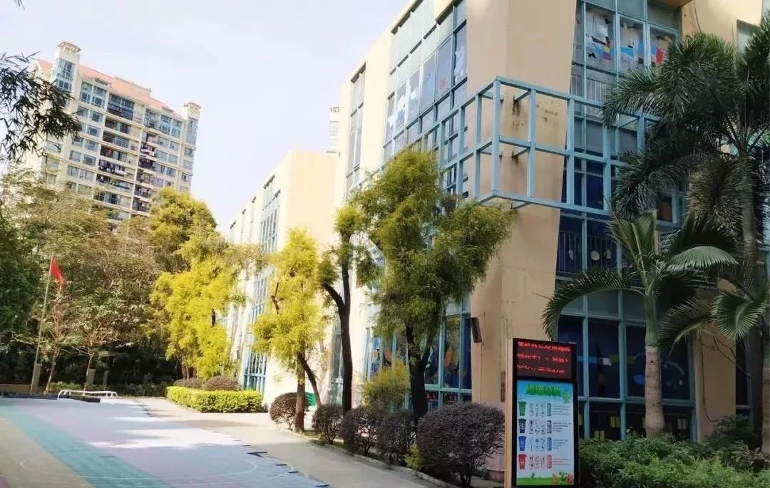 龙岗新生片区有哪些公办幼儿园,深圳市龙岗区龙岗街道爱尔幼儿园