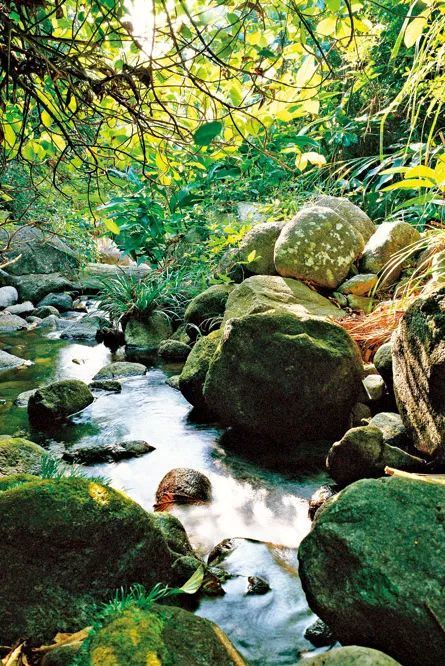 南国的两面:江南vs岭南