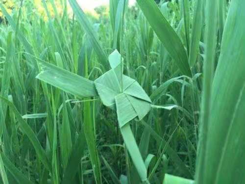 黄汉亮|闲话崇明这些借助空气的玩具