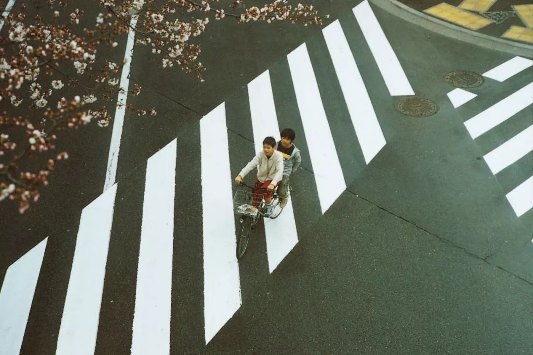 2000-2019,20年20部,最不该缺课的电影,上