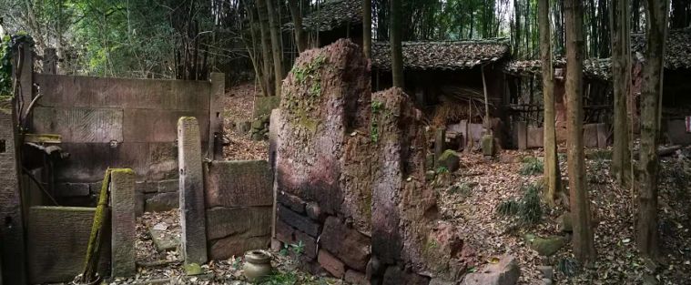 回乡见闻视频,回乡的见闻有哪些