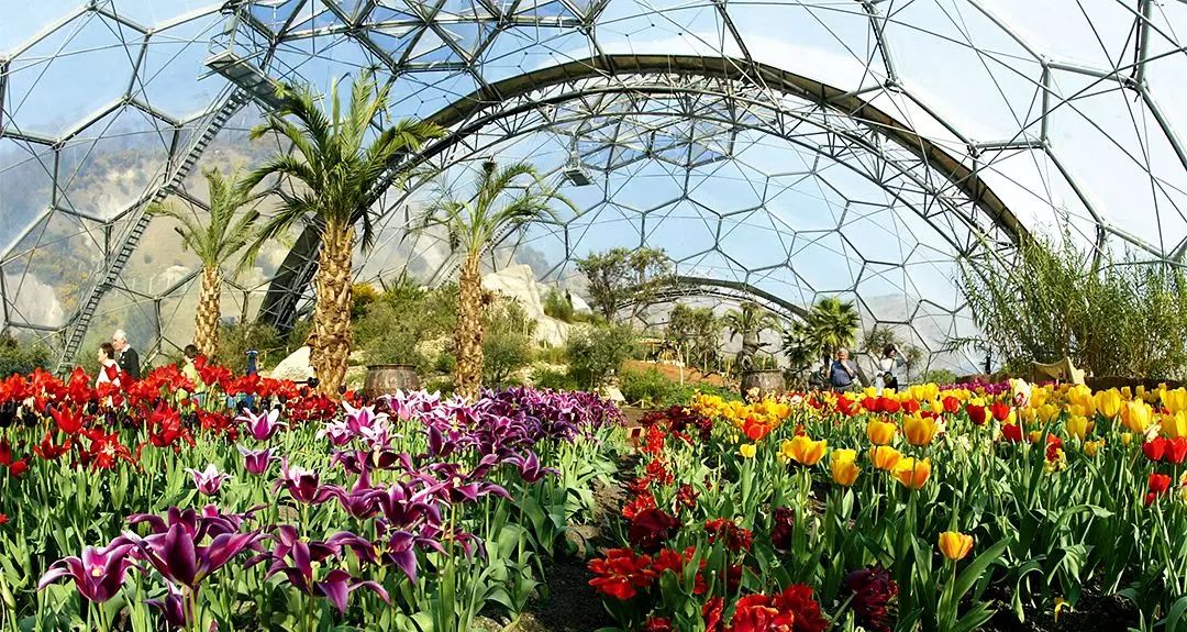 休闲农业和观光农业,休闲观光农业经验