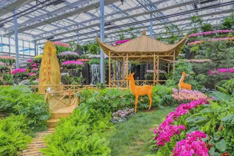 临沂市兰陵国家农业公园旅游区,临沂兰陵国家农业公园