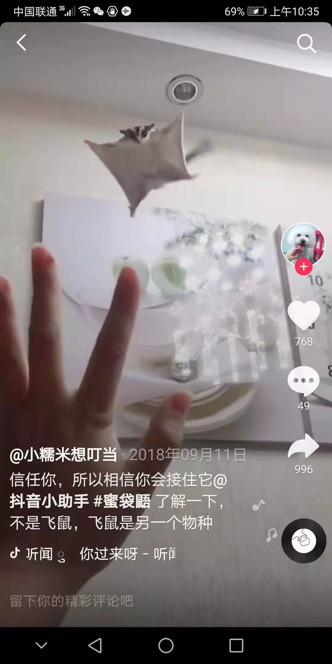 宠物也会感染新型肺炎吗世卫组织,宠物能感染新冠肺炎吗