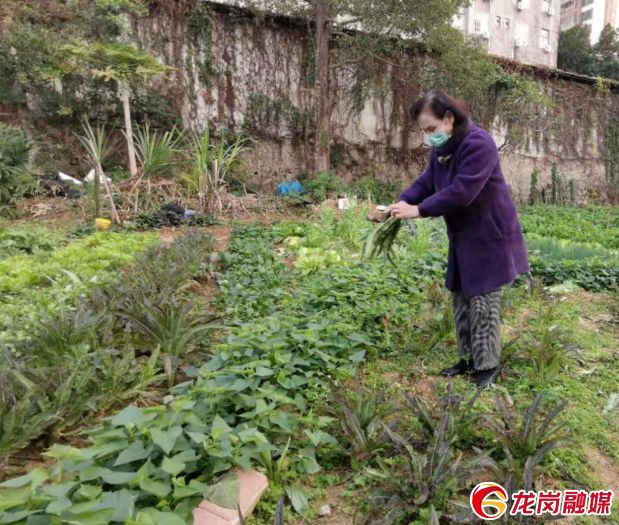 疫情期间的感动瞬间视频,深圳疫情暖心画面