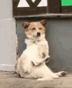 50双加绒运动鞋,100-200百搭运动鞋