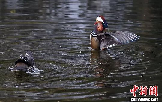 今日立春冬已尽春可期,今日立春春暖花开