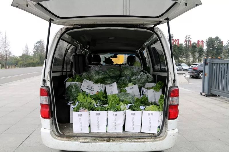 1块1斤！10块1袋！新津这支蔬菜“帮销队”你要加入吗？