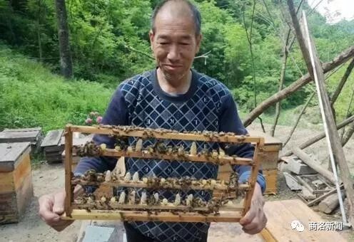 疫线故事,疫线坚守的故事