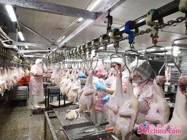 菏泽顶呱呱,顶呱呱企业