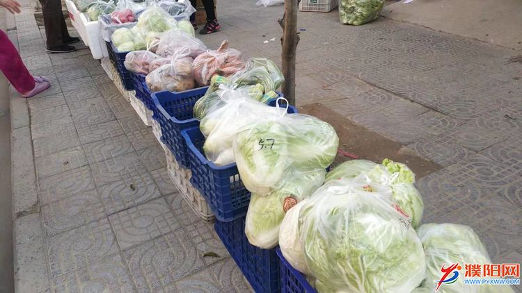 疫情下的新模式，菜篮连上互联网