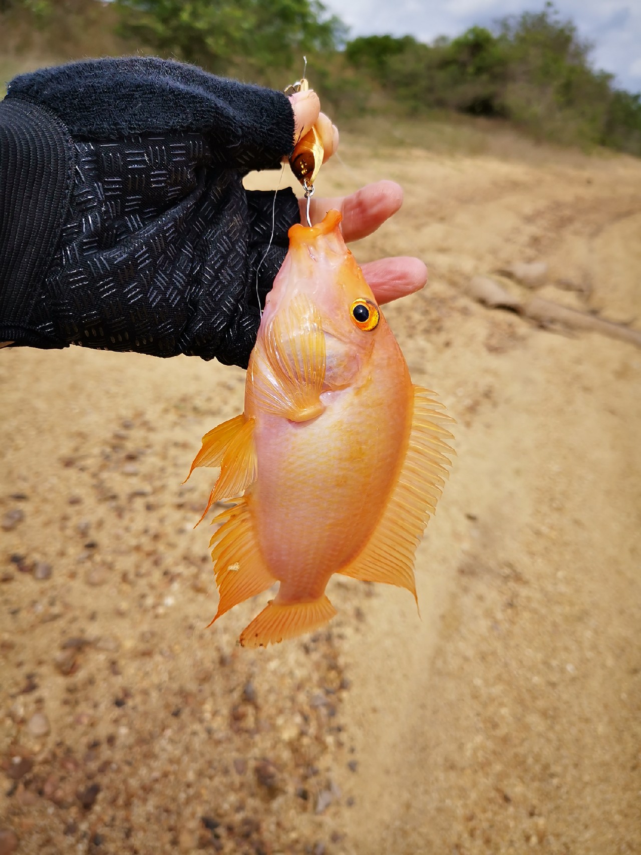 路亚一步到位还是循序渐进好,摸索反思