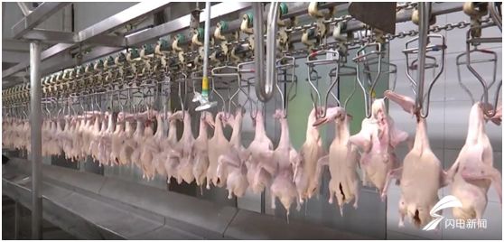 企业复工复产六个一措施,多举措推进企业复工复产