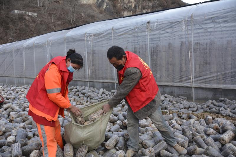 红马甲志愿者村里照片,红马甲服务社区志愿者
