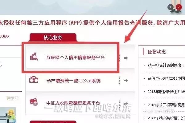 企业信用报告线上能查询打印吗,企业网上查询个人征信