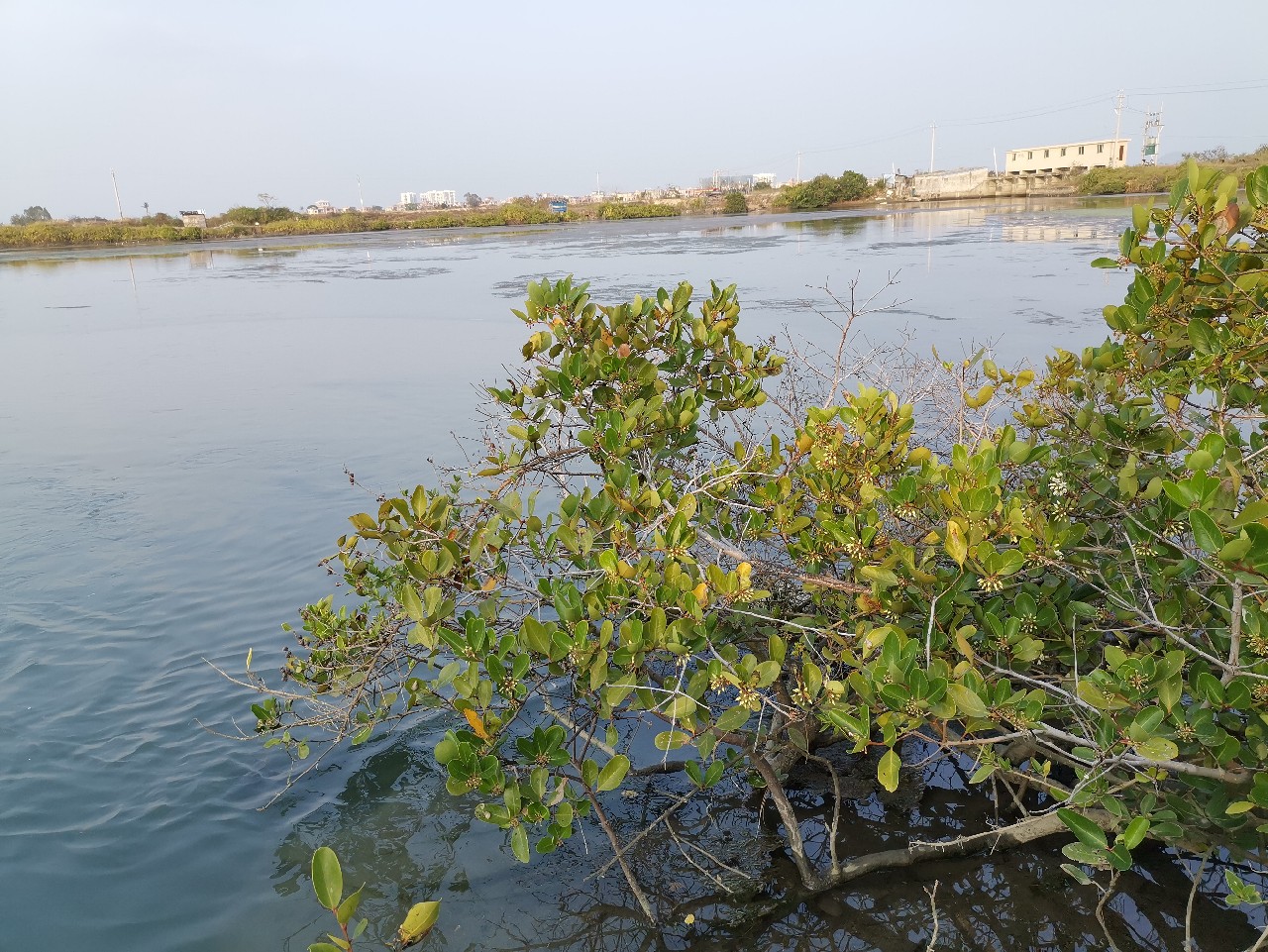 路亚一步到位还是循序渐进好,摸索反思