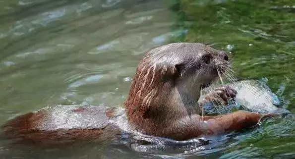 瑞雪随东去雨水送春归,风雨送春归歌曲原唱