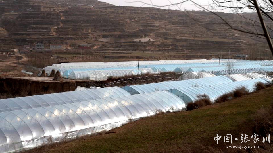 战疫不误农时原文,全力迎击疫情防控阻击战