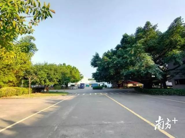 富士施乐高管与员工谈话,富士施乐深圳有限公司董事长