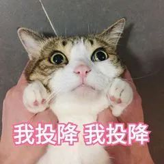 亲测送外卖,亲测外卖