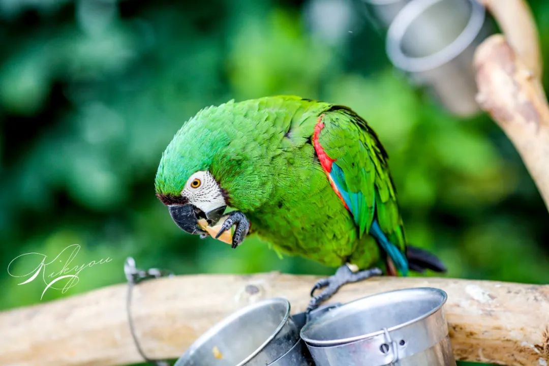 爱改装的车主眼中汉兰达咋样？除了油耗高、推背感肉外，不偷工减料、舒适度高能不能加分？