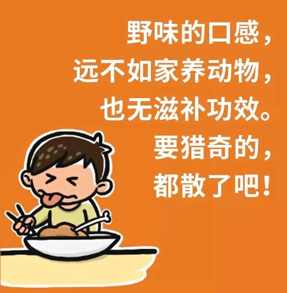 哪些动物属于野味,别再吃野生动物管住自己嘴