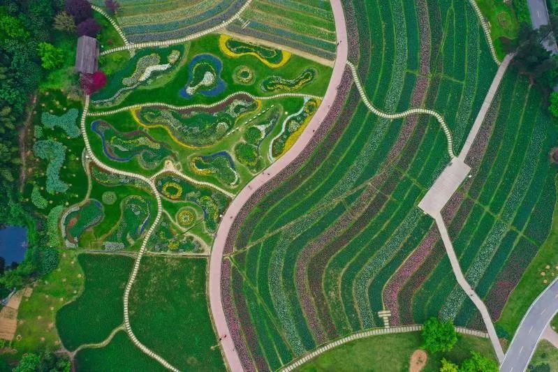 石象湖2022年51节开放了吗,石象湖景区免票