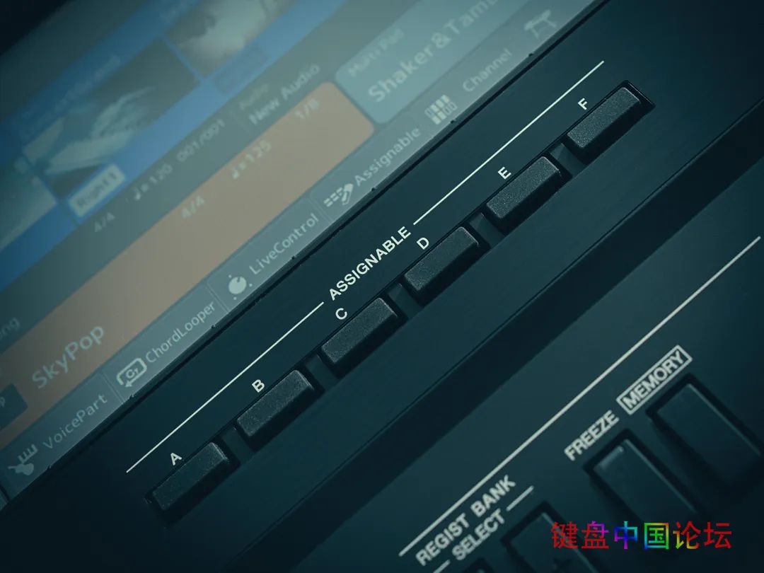 雅马哈sx900键盘,psr-sx900测评