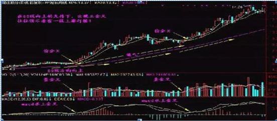 投资分析师怎么操盘,投资专家教你如何选股