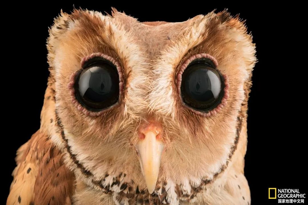 记住它们现在的模样,记住这些永不过期的食品